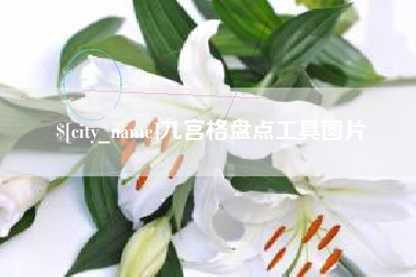 巴彦淖尔市九宫格盘点工具图片