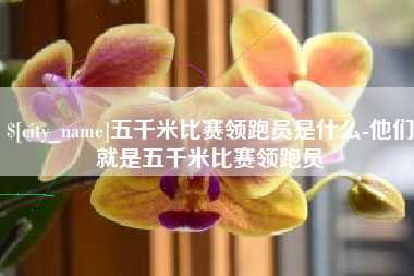 巴彦淖尔市五千米比赛领跑员是什么-他们就是五千米比赛领跑员