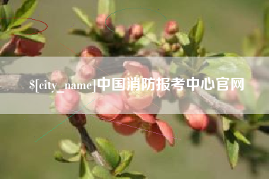 巴彦淖尔市中国消防报考中心官网