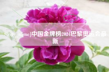 巴彦淖尔市中国金牌榜2024巴黎奥运会最新