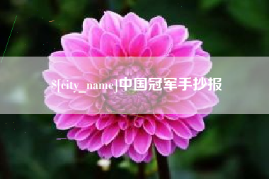 巴彦淖尔市中国冠军手抄报