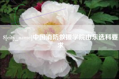 巴彦淖尔市中国消防救援学院山东选科要求