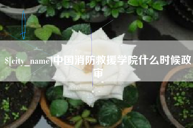 巴彦淖尔市中国消防救援学院什么时候政审