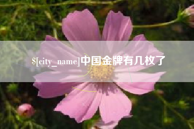 巴彦淖尔市中国金牌有几枚了