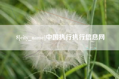 巴彦淖尔市中国执行执行信息网