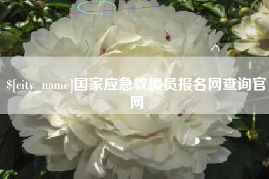 巴彦淖尔市国家应急救援员报名网查询官网