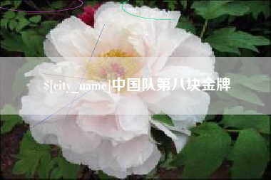 巴彦淖尔市中国队第八块金牌