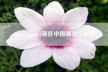 巴彦淖尔市现在中国哪几个金牌