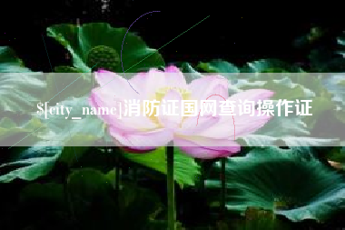 巴彦淖尔市消防证国网查询操作证