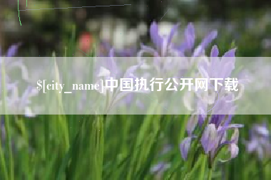巴彦淖尔市中国执行公开网下载