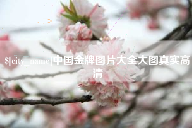 巴彦淖尔市中国金牌图片大全大图真实高清