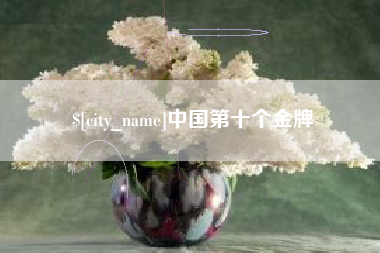 巴彦淖尔市中国第十个金牌