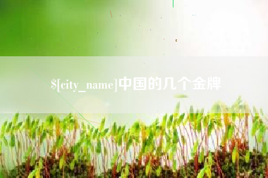 巴彦淖尔市中国的几个金牌