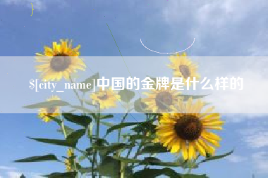 巴彦淖尔市中国的金牌是什么样的