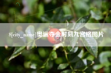 巴彦淖尔市奥运夺金时刻九宫格图片