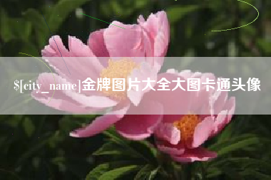巴彦淖尔市金牌图片大全大图卡通头像