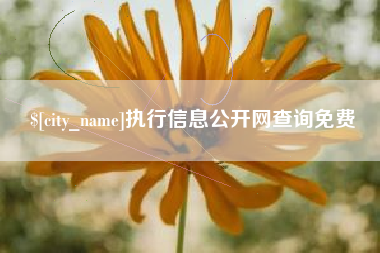 巴彦淖尔市执行信息公开网查询免费