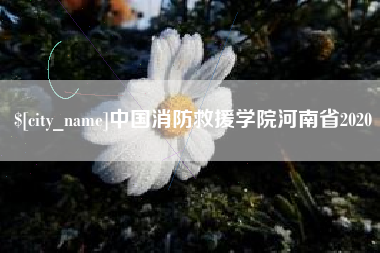 巴彦淖尔市中国消防救援学院河南省2020